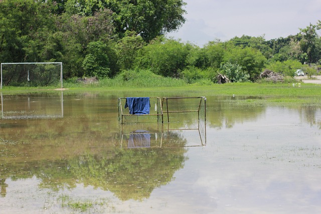 重要一环 重要一环