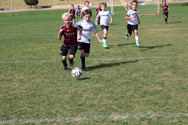 疑成为了球 疑成为了球