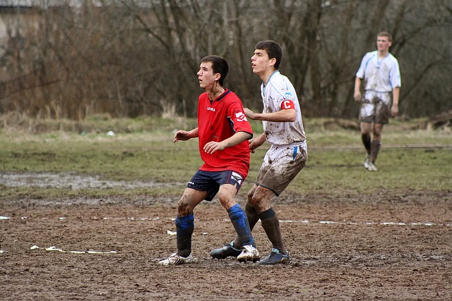 各支球隊的 各支球隊的