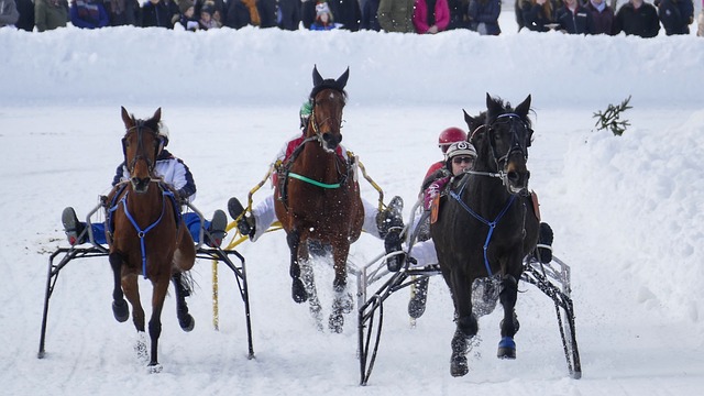 熙所提到的 熙所提到的