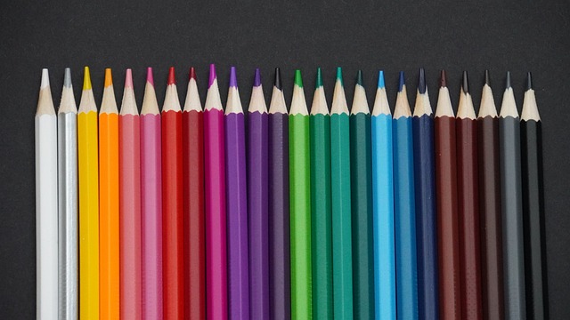 球迷的熱烈 球迷的熱烈