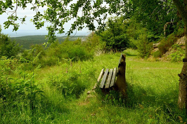 续学习的结 续学习的结