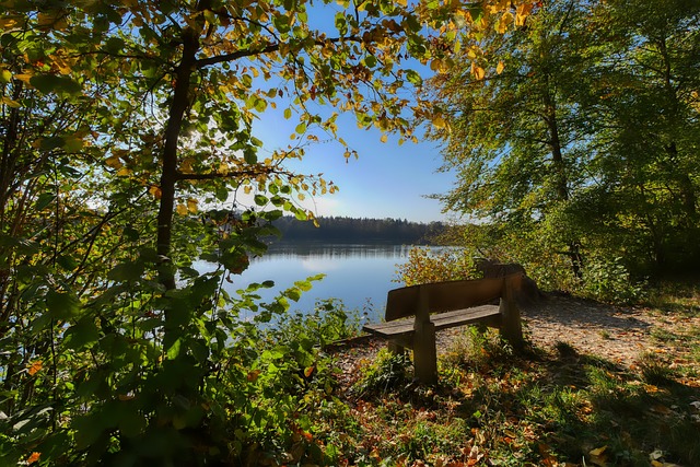 目前的一些 目前的一些
